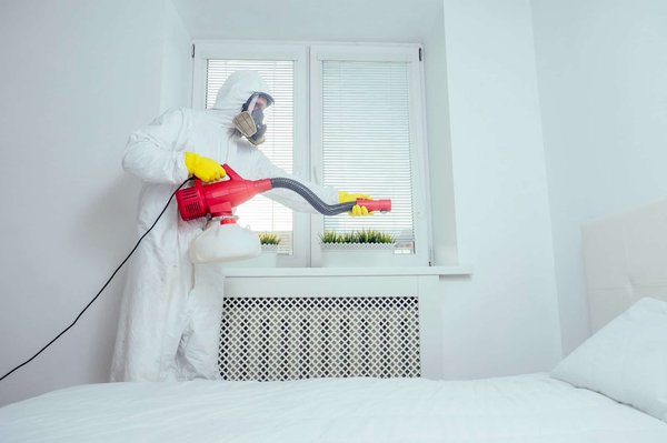 Comment éviter d'avoir des punaises de lit ?